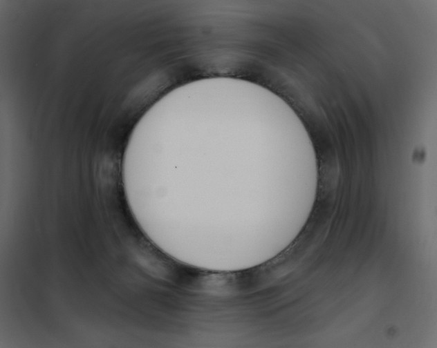 X0000102000126200808081709