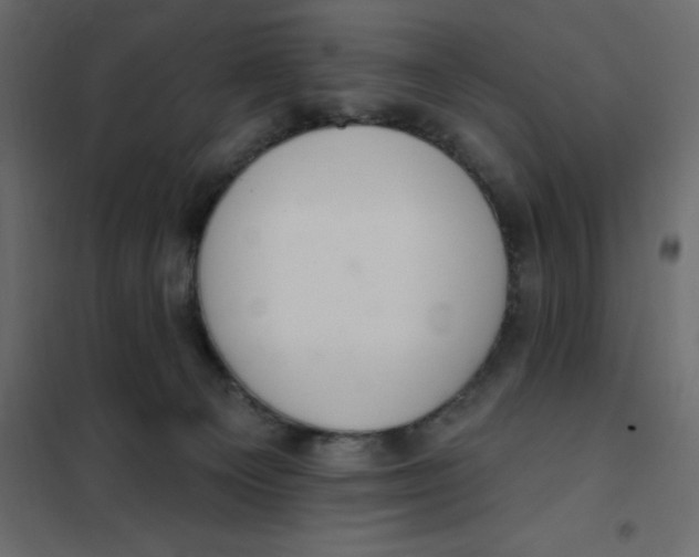 X0000102000129200808081709