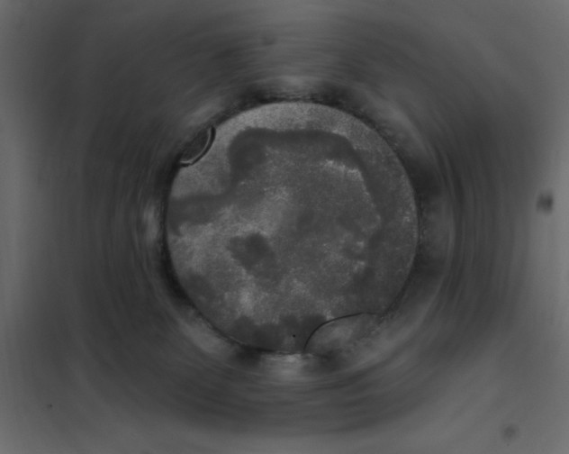 X0000102000131200808081709