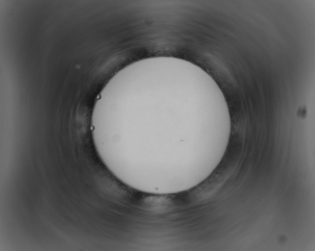 X0000102000133200808081709