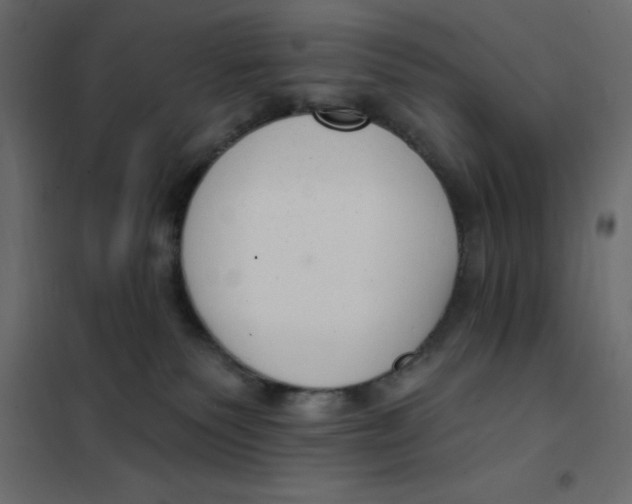 X0000102000135200808081709