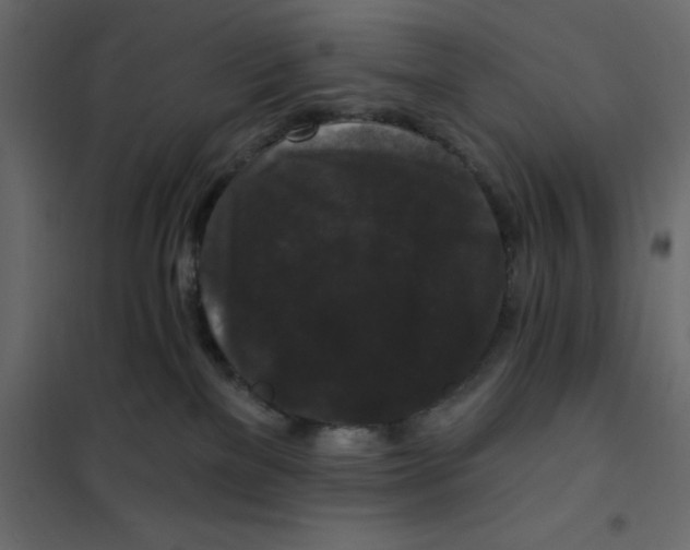 X0000102000137200808081709