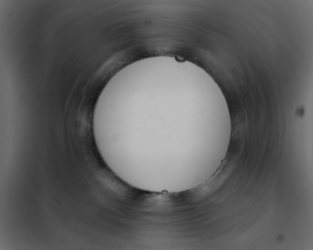 X0000102000140200808081709