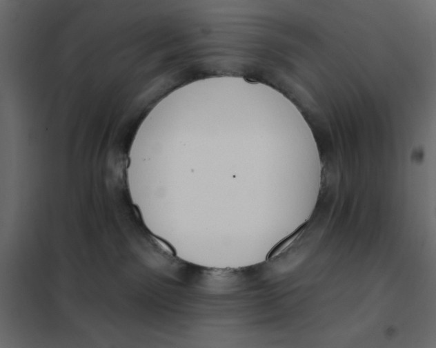 X0000102000141200808081709