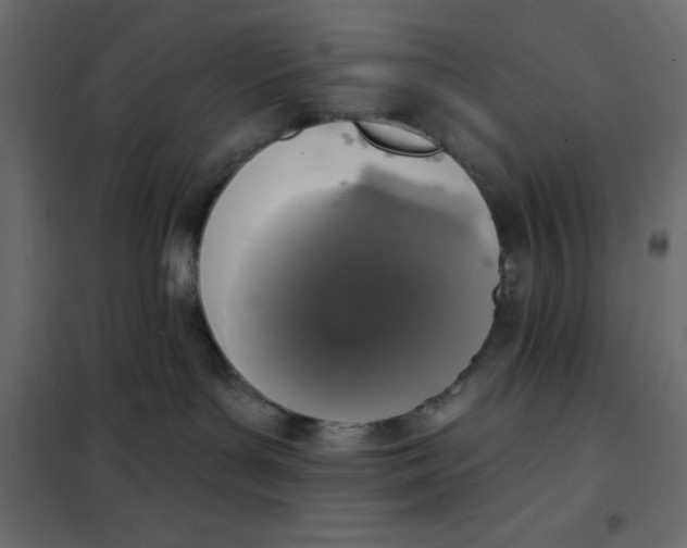 X0000102000143200808081709