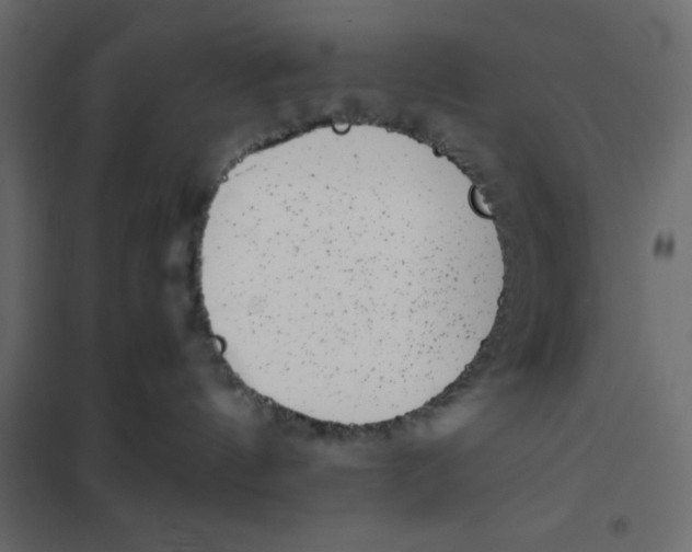 X0000102000144200808081709