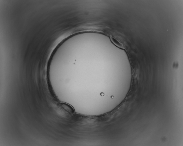 X0000102000148200808081708