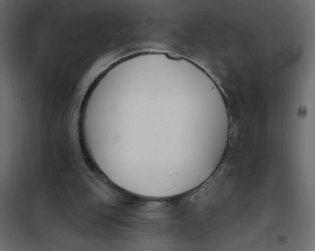 X0000102000151200808081708