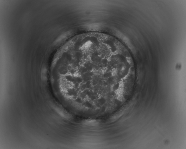 X0000102000161200808081708