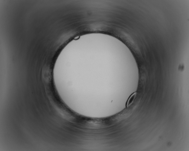 X0000102000164200808081709