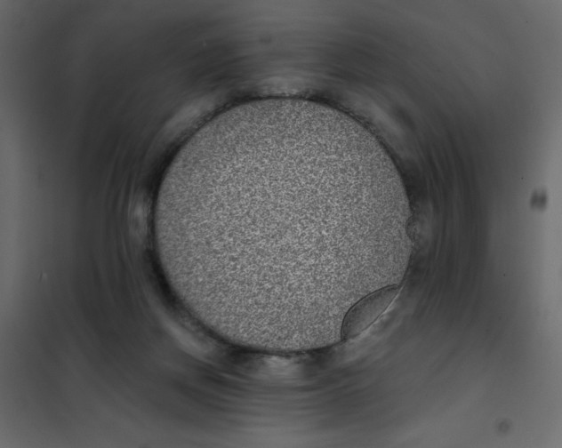 X0000102000166200808081709