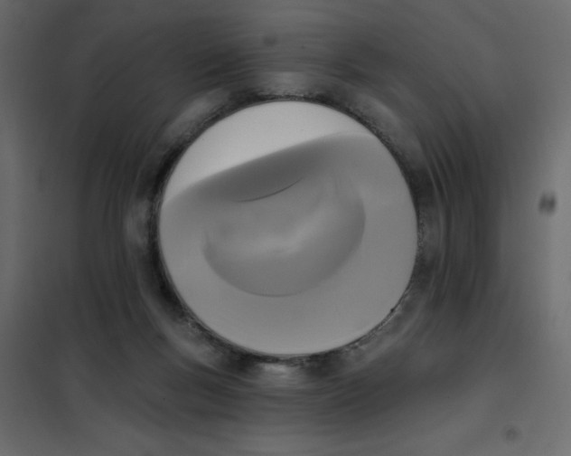 X0000102000167200808081709