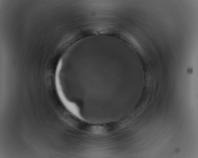 X0000102000169200808081709