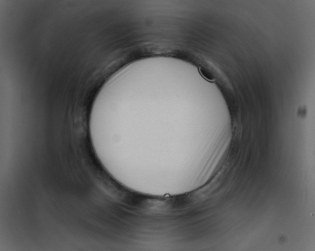 X0000102000170200808081709