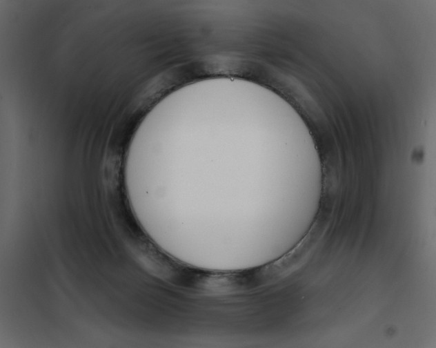 X0000102000171200808081709