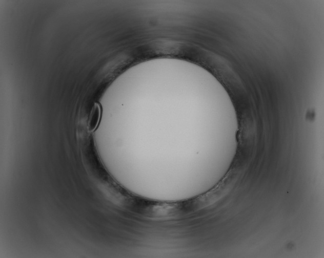 X0000102000172200808081709