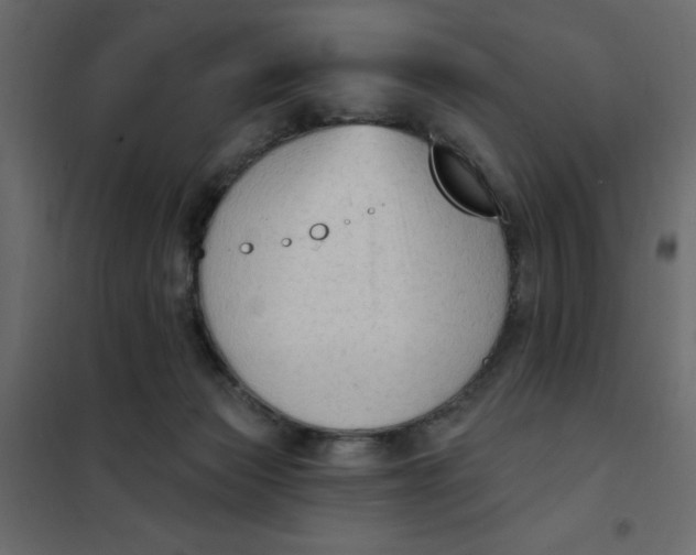 X0000102000173200808081709