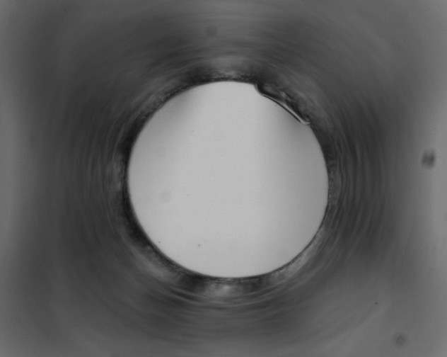 X0000102000174200808081709