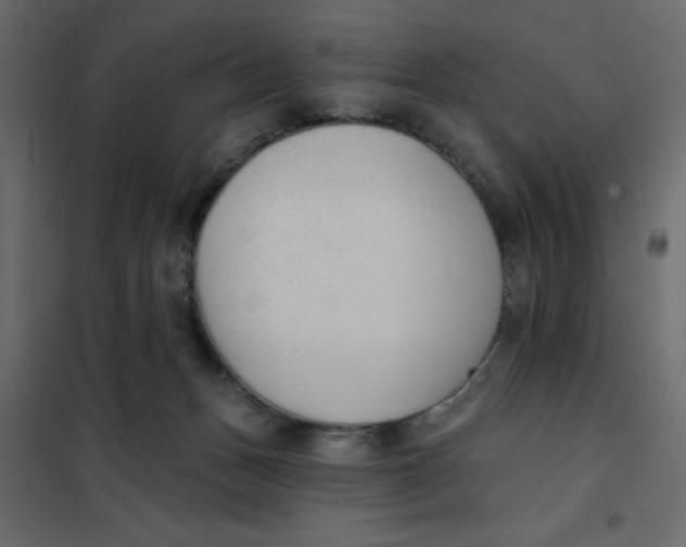 X0000102000175200808081709