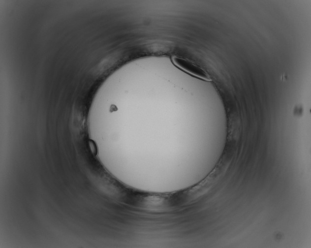 X0000102000176200808081709