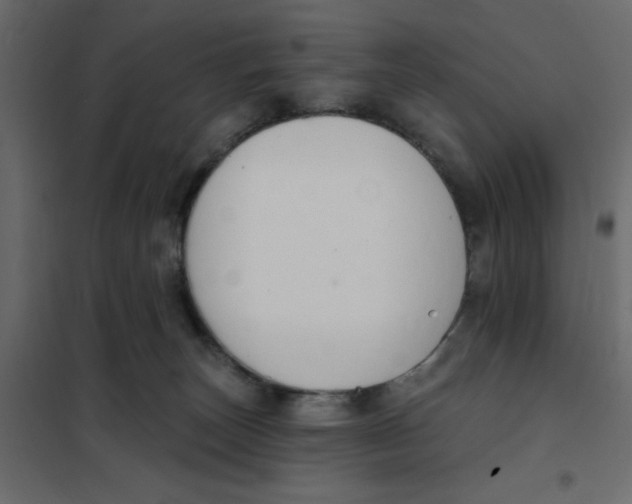 X0000102000179200808081709