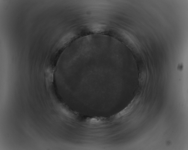 X0000102000180200808081709