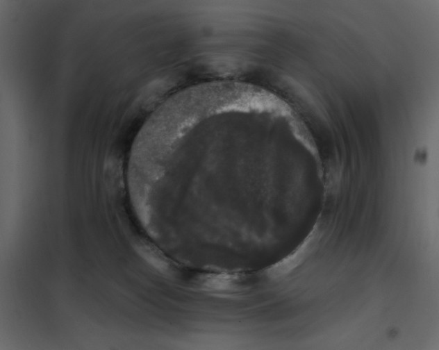 X0000102000182200808081709