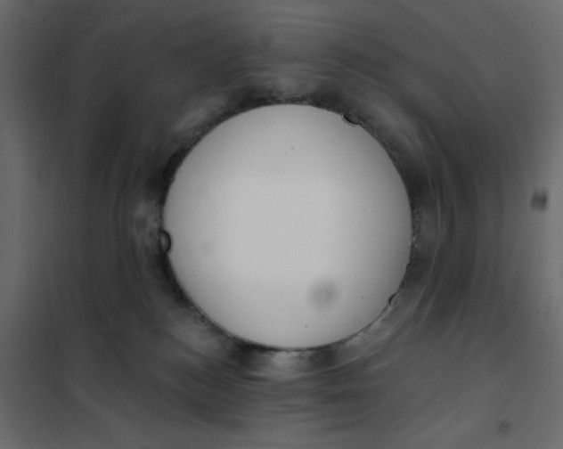 X0000102000184200808081709