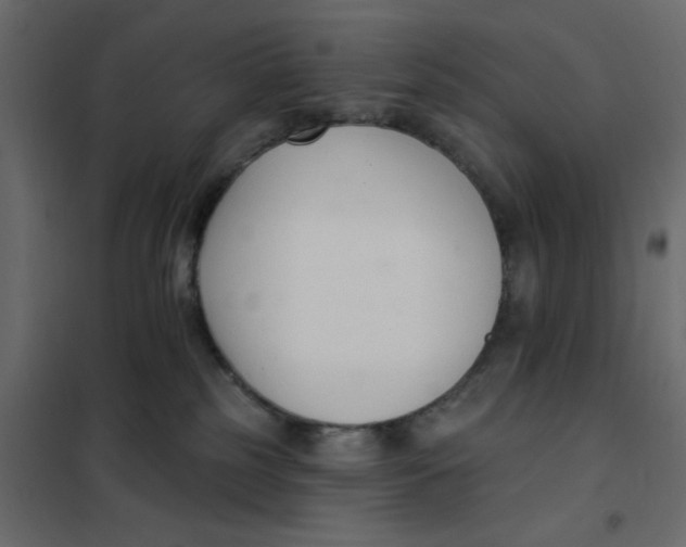 X0000102000185200808081709