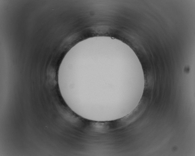 X0000102000187200808081709