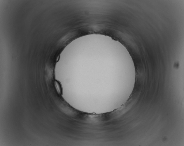 X0000102000188200808081709