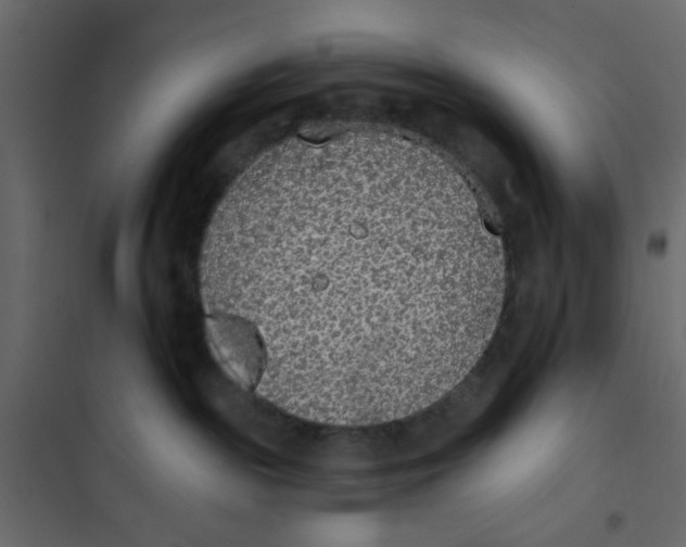 X0000102000189200808081709