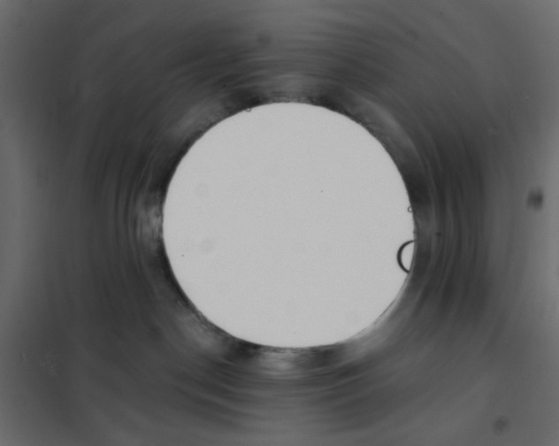 X0000102000190200808081709