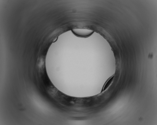 X0000102000191200808081709