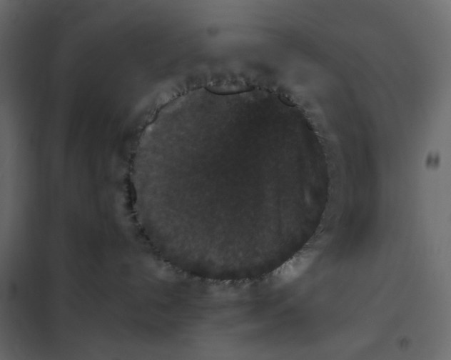 X0000102000192200808081709