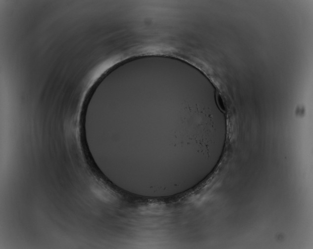 X0000102000196200808081708