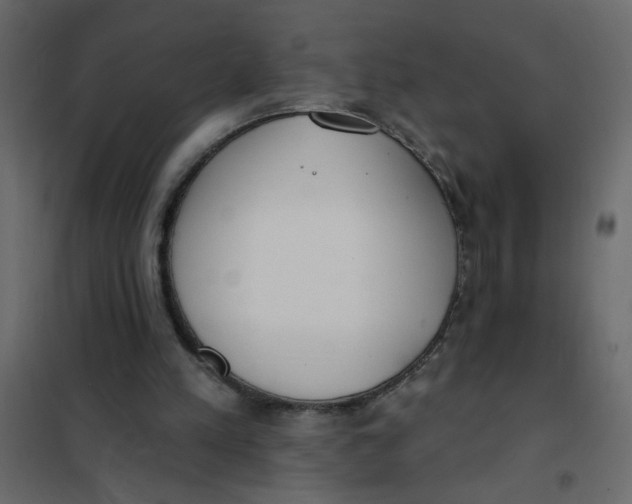 X0000102000197200808081708