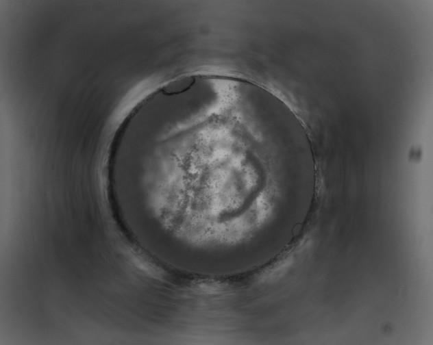 X0000102000199200808081708