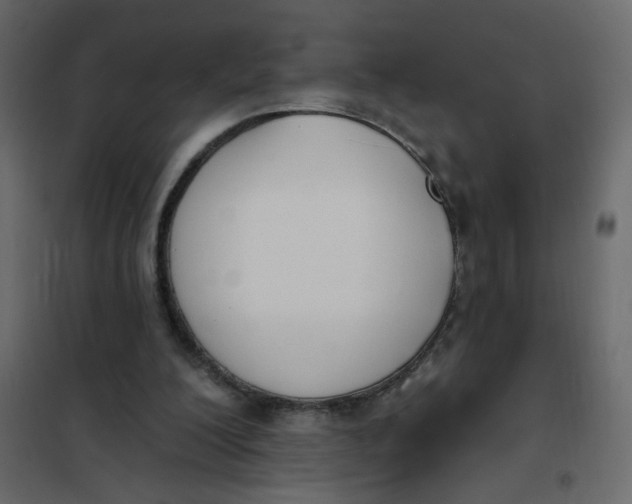 X0000102000200200808081708