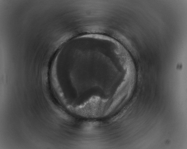 X0000102000202200808081708