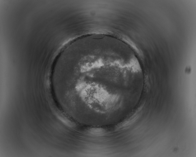 X0000102000203200808081708