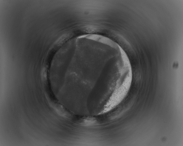 X0000102000214200808081708