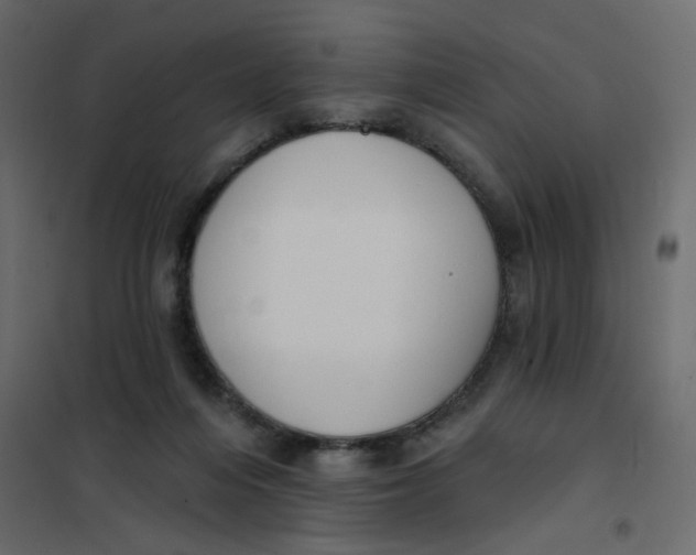 X0000102000216200808081708