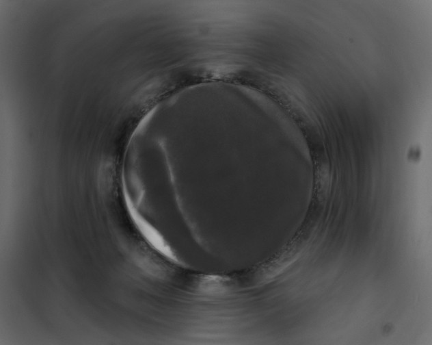 X0000102000222200808081708