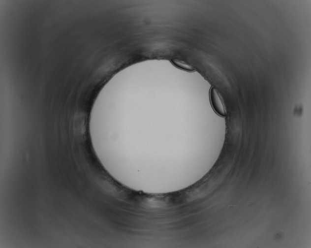 X0000102000232200808081708