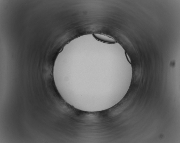 X0000102000236200808081708