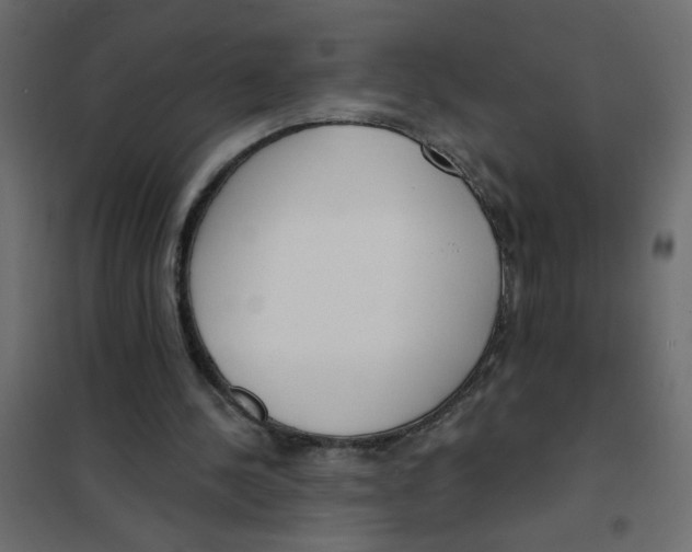 X0000102000244200808081707