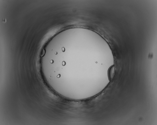 X0000102000245200808081707