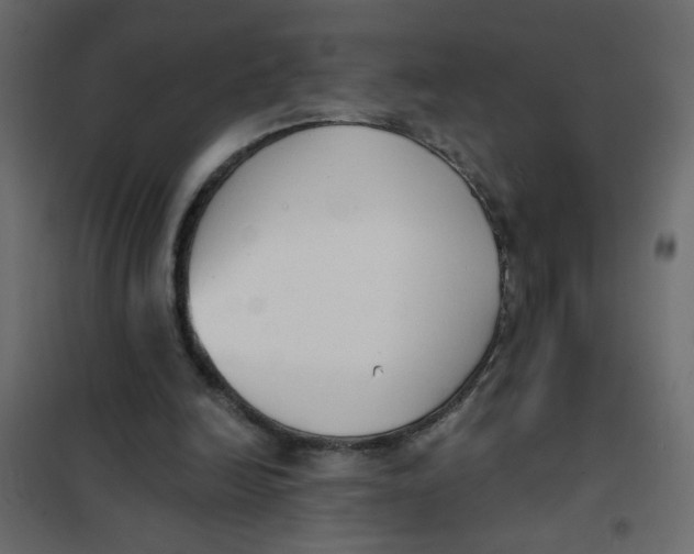 X0000102000246200808081707