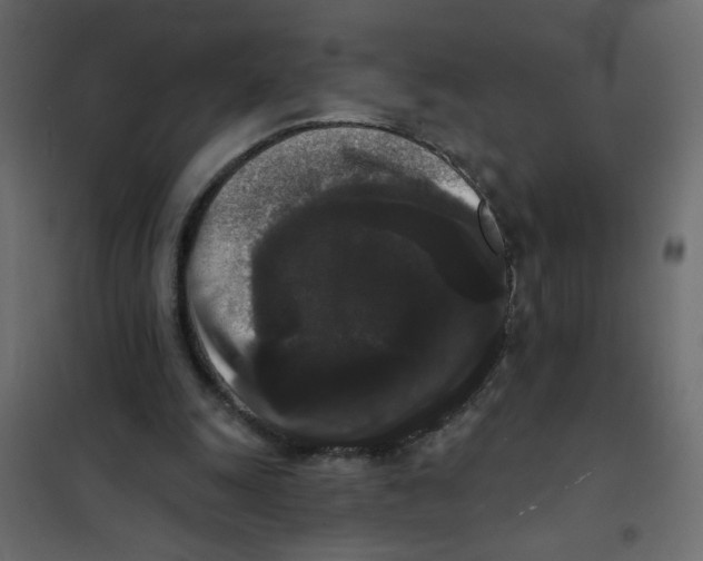 X0000102000247200808081707